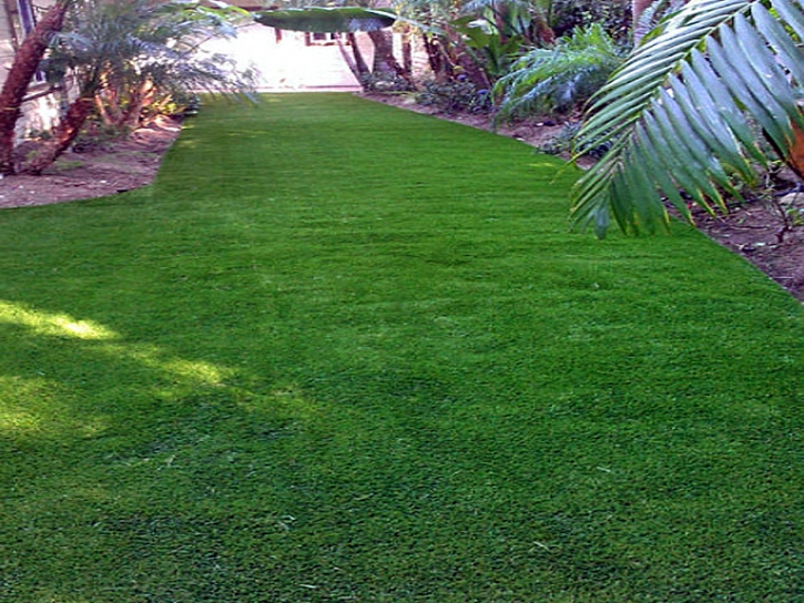 Fake Grass Carpet Hurley, New Mexico Landscaping Business, Backyard Landscape Ideas