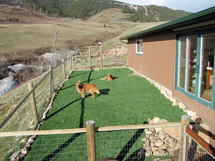 Fake Grass Carpet Mountainair, New Mexico Hotel For Dogs, Backyard Ideas