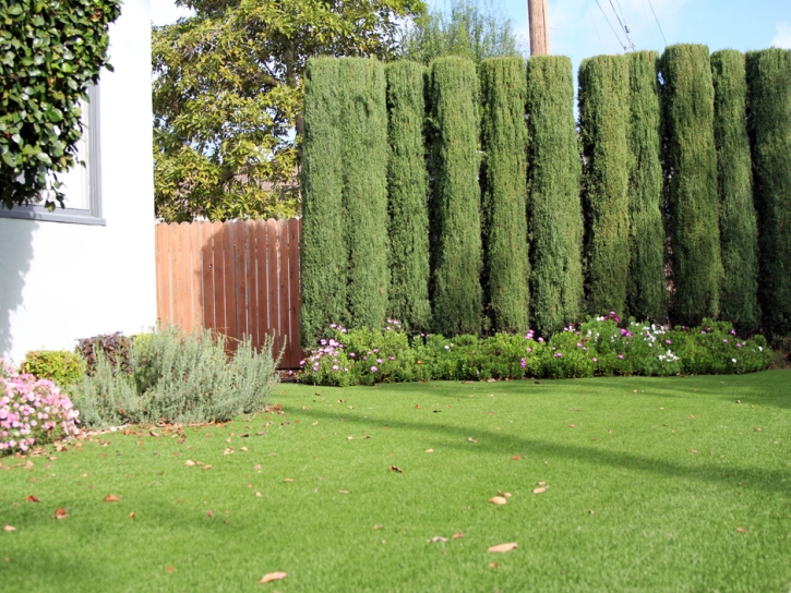 Fake Grass Fairacres, New Mexico Garden Ideas, Front Yard