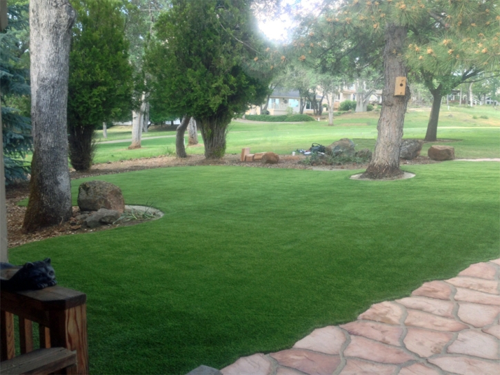 Fake Lawn Arroyo Seco, New Mexico Gardeners, Front Yard Landscaping Ideas