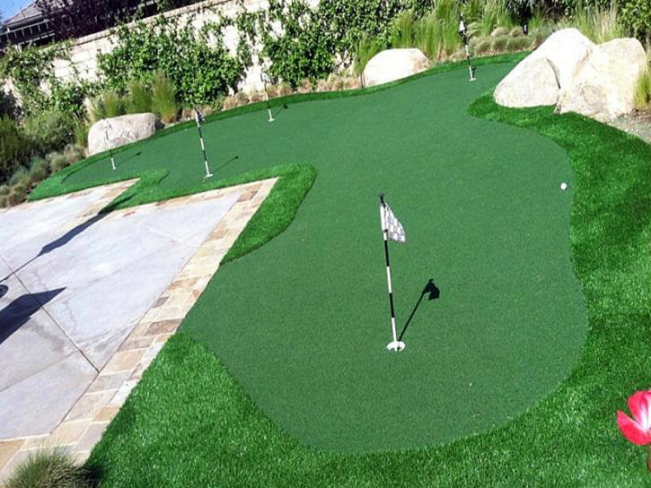 Fake Turf Cliff, New Mexico Office Putting Green, Backyard Designs