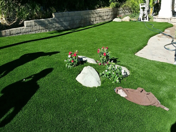 Fake Turf Mesita, New Mexico Home And Garden, Front Yard Landscape Ideas