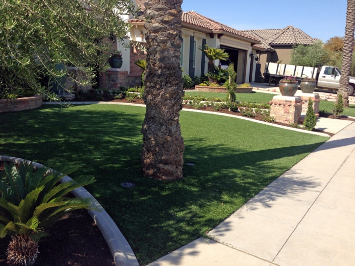 Faux Grass Soham, New Mexico Landscaping, Front Yard Landscape Ideas