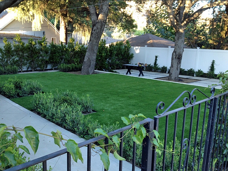 Grass Carpet Capulin, New Mexico Lawn And Landscape, Landscaping Ideas For Front Yard