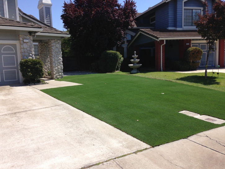 Grass Carpet Corona, New Mexico Rooftop, Front Yard Ideas