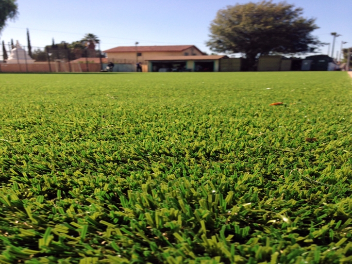 Grass Carpet Ojo Amarillo, New Mexico Landscape Design