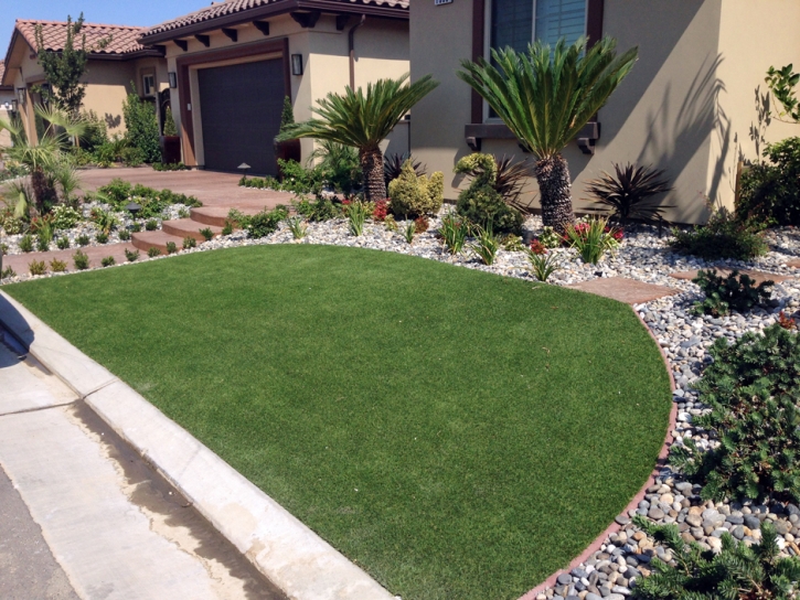 Grass Carpet Regina, New Mexico Lawn And Garden, Front Yard Design