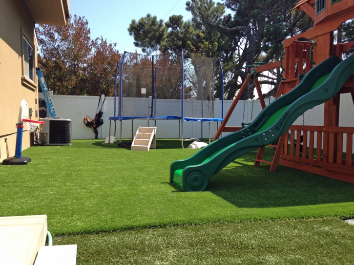 Grass Carpet Watrous, New Mexico Lacrosse Playground, Backyard Landscape Ideas