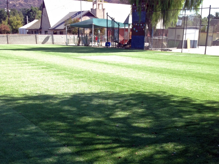 Grass Turf Talpa, New Mexico Sports Athority, Parks