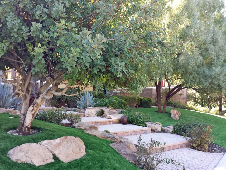 Green Lawn Springer, New Mexico Backyard Deck Ideas, Backyard Landscaping Ideas