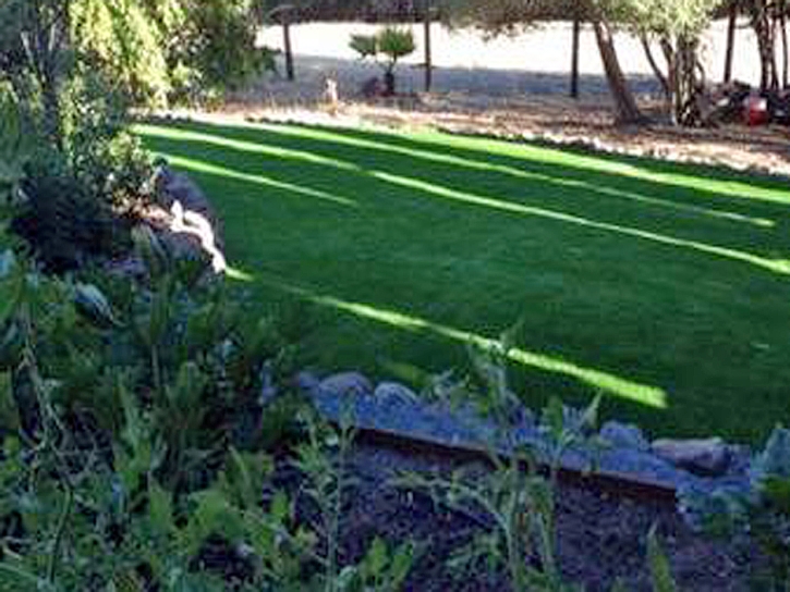 How To Install Artificial Grass Corrales, New Mexico Landscaping Business, Backyard Landscaping Ideas