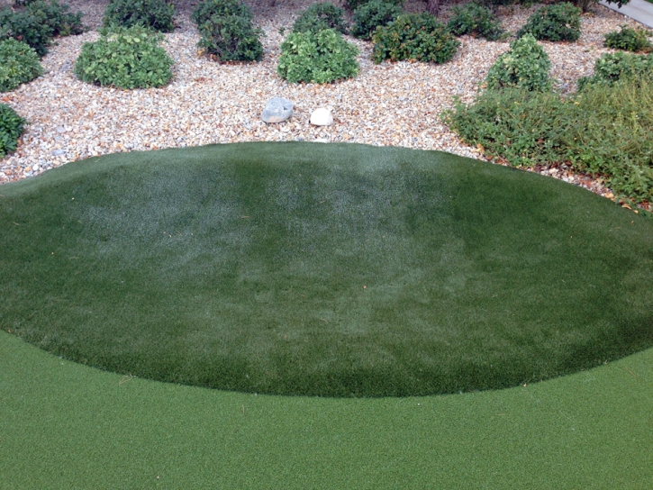 How To Install Artificial Grass Luis Lopez, New Mexico Landscape Photos