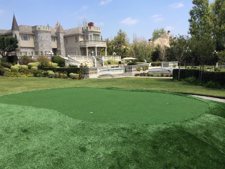 How To Install Artificial Grass Manzano Springs, New Mexico Indoor Putting Green, Front Yard Landscaping