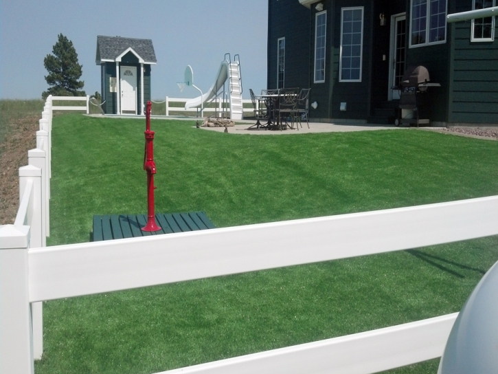 How To Install Artificial Grass Rodey, New Mexico Paver Patio, Front Yard Landscaping