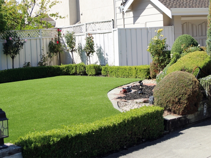 Installing Artificial Grass Caballo, New Mexico Landscaping Business, Front Yard Landscaping Ideas