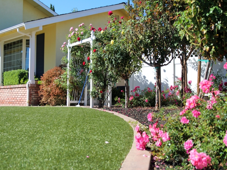 Installing Artificial Grass La Cienega, New Mexico Garden Ideas, Front Yard Ideas