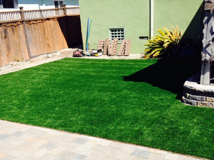 Installing Artificial Grass South Valley, New Mexico Lawn And Garden, Backyard Landscaping Ideas