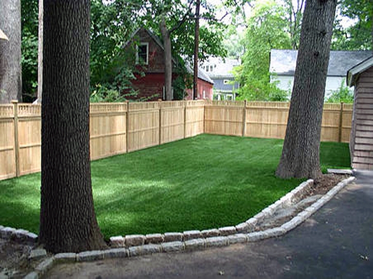 Lawn Services Lee Acres, New Mexico Cat Grass, Backyard Garden Ideas