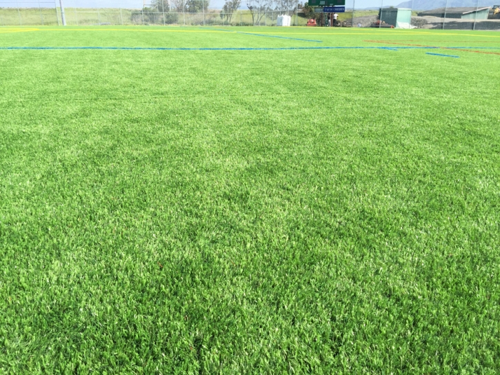 Lawn Services San Mateo, New Mexico High School Sports