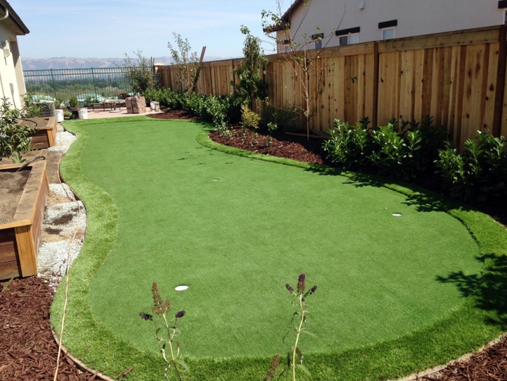 Outdoor Carpet Ponderosa Pine, New Mexico Diy Putting Green, Backyard Landscaping Ideas
