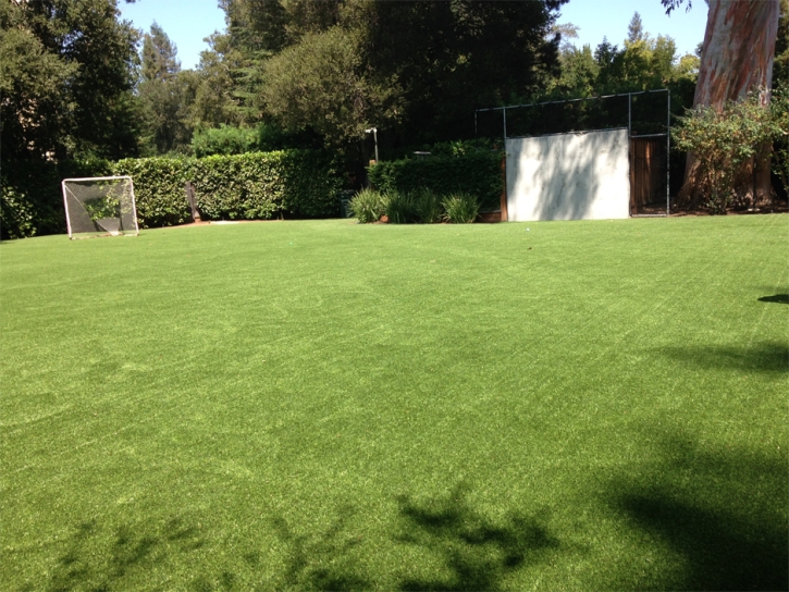 Outdoor Carpet San Jose, New Mexico Sports Athority, Backyard Landscaping Ideas