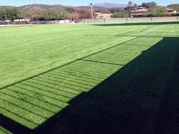 Plastic Grass Apache Creek, New Mexico Landscaping