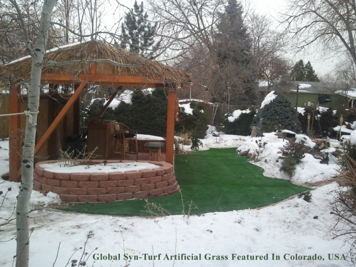 Plastic Grass San Antonito, New Mexico Paver Patio, Backyard Landscaping Ideas