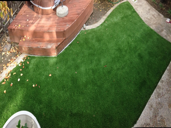 Synthetic Grass Cost Dexter, New Mexico City Landscape, Backyard Landscaping Ideas