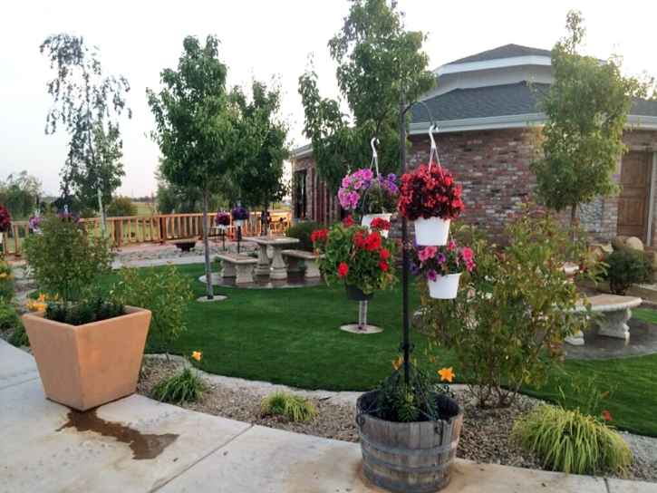 Synthetic Grass Cost Eagle Nest, New Mexico Home And Garden, Commercial Landscape