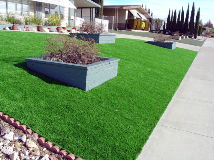 Synthetic Grass Cost San Felipe Pueblo, New Mexico Landscaping Business, Front Yard Landscape Ideas