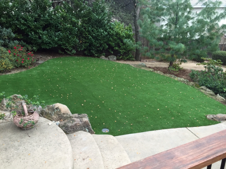 Synthetic Grass Cost Torreon, New Mexico City Landscape, Backyard Designs