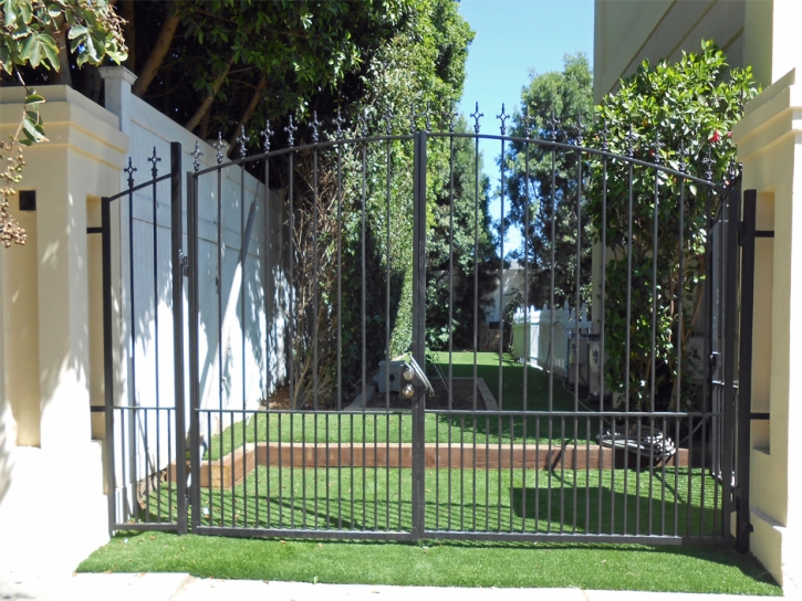 Synthetic Grass Cost Tyrone, New Mexico Lawns, Small Front Yard Landscaping