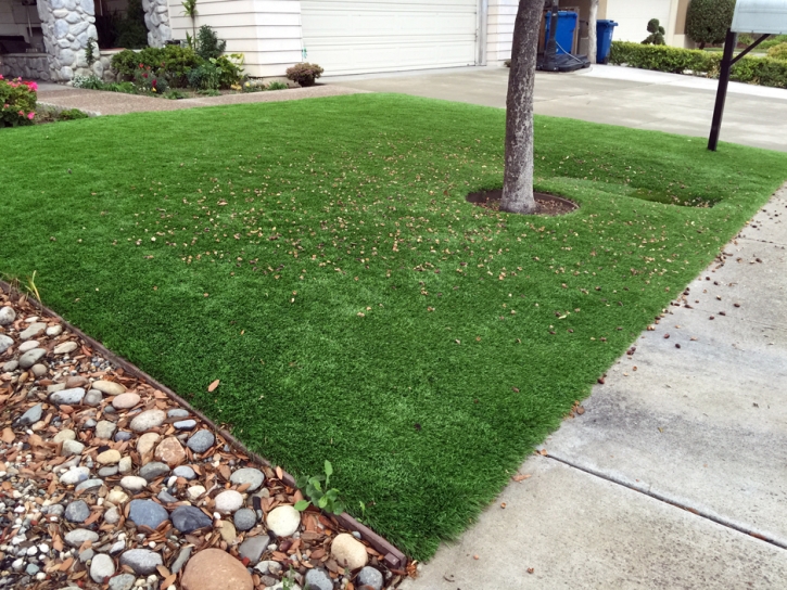 Synthetic Grass Hagerman, New Mexico Landscaping, Front Yard Ideas
