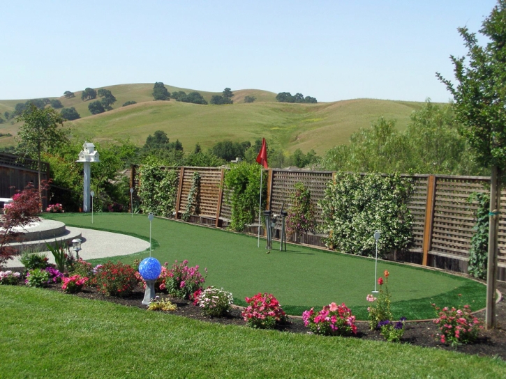 Synthetic Grass Hanover, New Mexico Landscaping Business, Backyard Designs