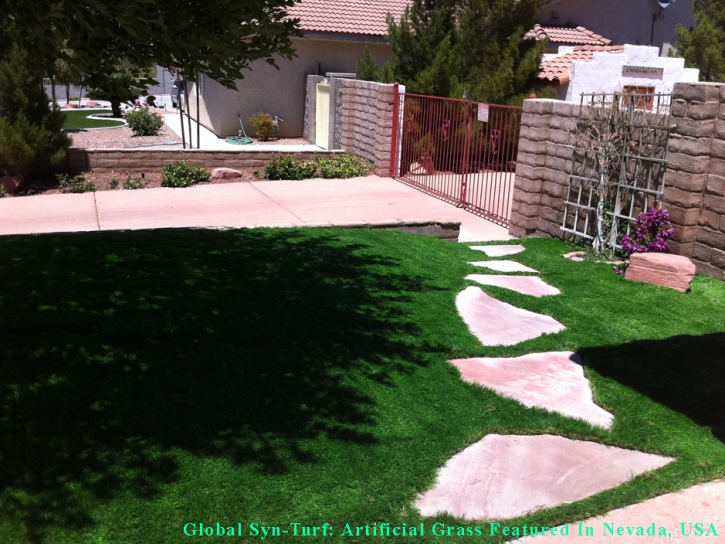 Synthetic Grass Peralta, New Mexico Dog Hospital, Front Yard Design