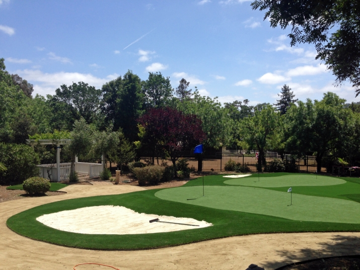 Synthetic Grass San Rafael, New Mexico Putting Green Flags, Front Yard Ideas