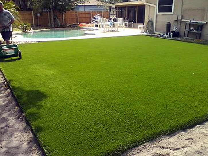 Synthetic Grass Willard, New Mexico Design Ideas, Swimming Pools