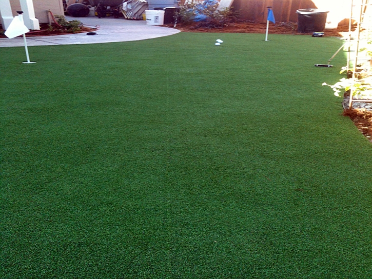 Synthetic Lawn Eagle Nest, New Mexico Putting Greens, Backyard Landscape Ideas