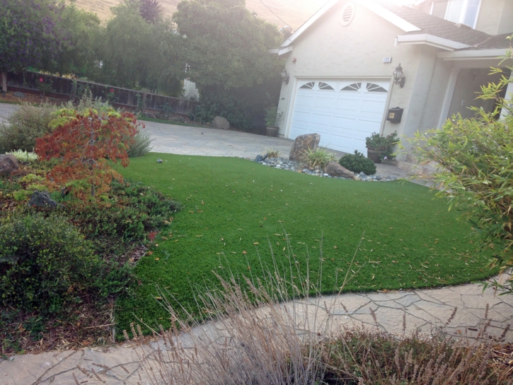 Synthetic Lawn Lee Acres, New Mexico Landscape Photos, Landscaping Ideas For Front Yard