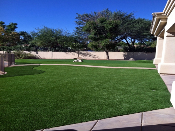 Synthetic Lawn Ohkay Owingeh, New Mexico Roof Top, Front Yard Landscaping Ideas