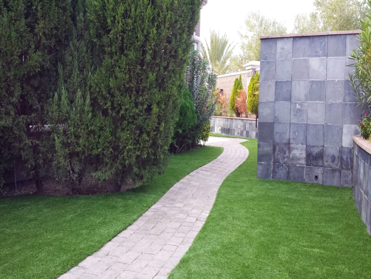Synthetic Turf Newkirk, New Mexico Landscape Design, Commercial Landscape