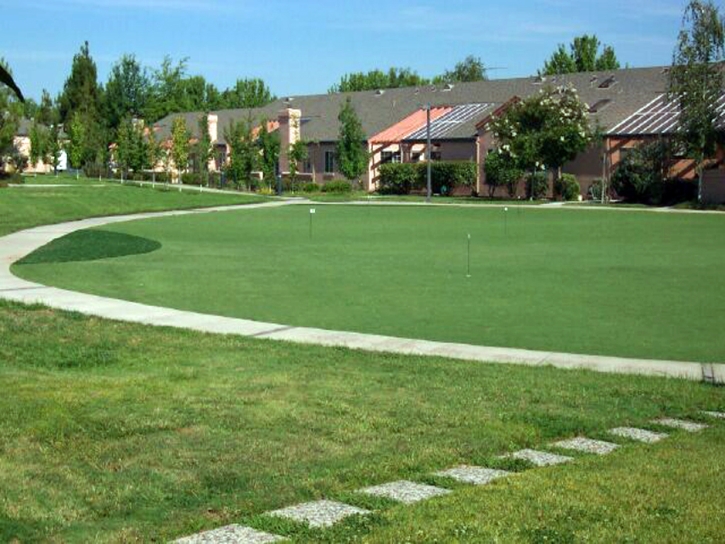 Synthetic Turf Supplier Algodones, New Mexico How To Build A Putting Green, Commercial Landscape