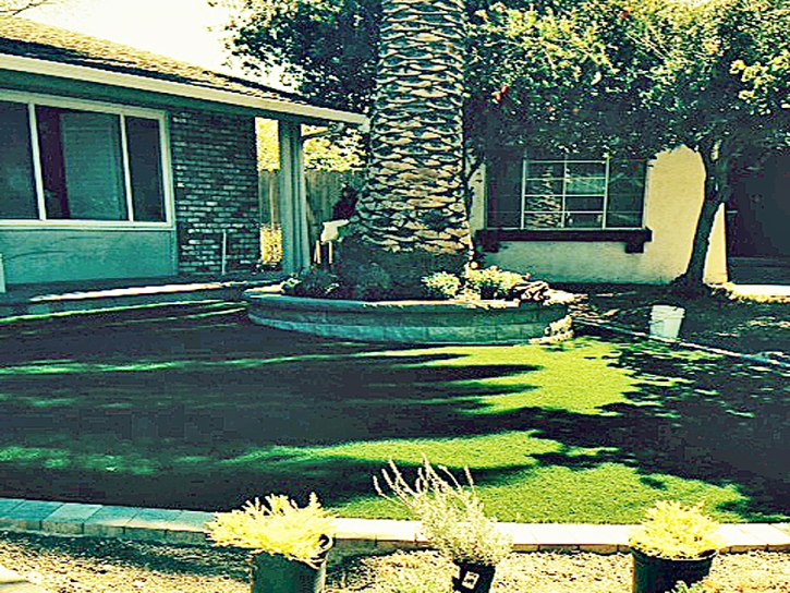 Synthetic Turf Supplier Dona Ana, New Mexico Landscaping Business, Small Front Yard Landscaping