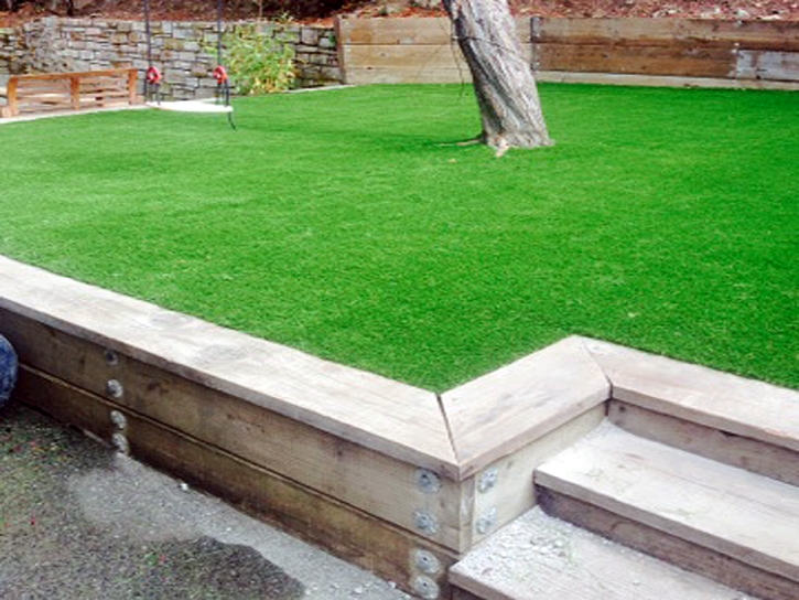 Synthetic Turf Supplier Edgewood, New Mexico Rooftop, Small Backyard Ideas
