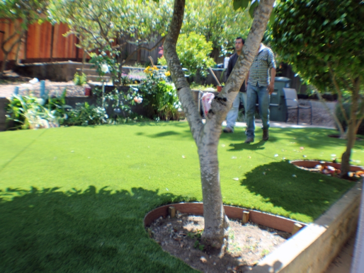Synthetic Turf Supplier Glorieta, New Mexico Garden Ideas, Backyard