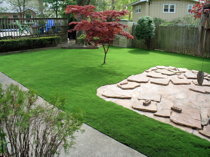 Synthetic Turf Supplier Hatch, New Mexico Rooftop, Beautiful Backyards