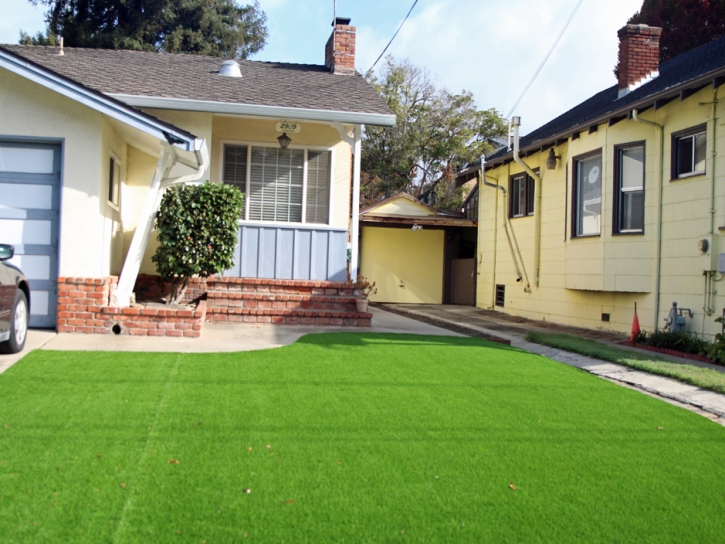 Synthetic Turf Supplier Kingston, New Mexico Landscape Design, Small Front Yard Landscaping