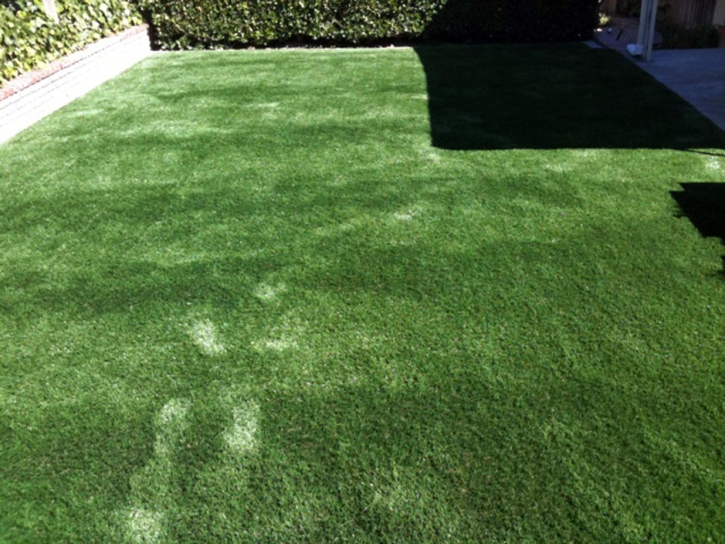 Synthetic Turf Supplier San Antonito, New Mexico Landscape Design, Backyard Landscaping