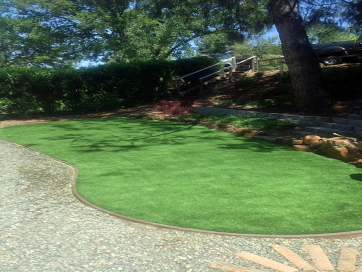 Synthetic Turf Wagon Mound, New Mexico Home And Garden, Backyards