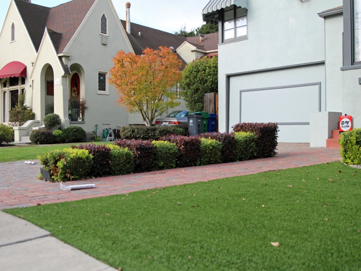 Turf Grass Garfield, New Mexico Roof Top, Front Yard Landscaping Ideas